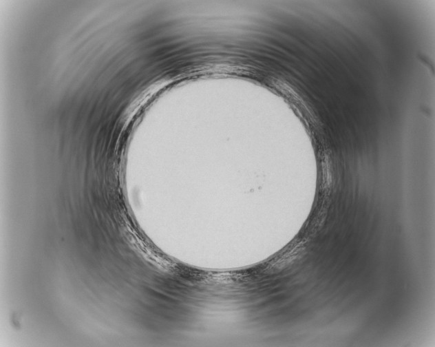 X0000102010828200808151250