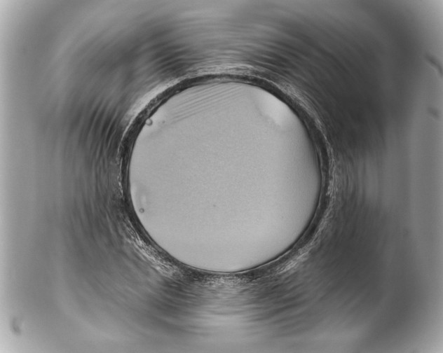 X0000102010830200808151250