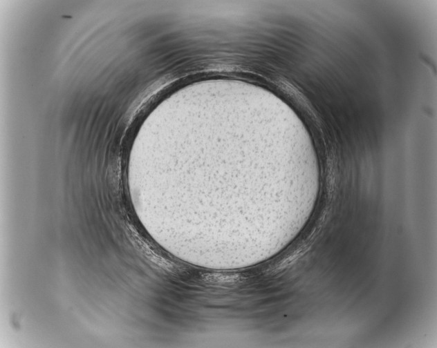 X0000102010831200808151250