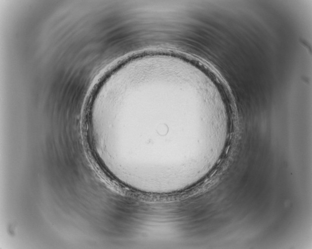 X0000102010832200808151250