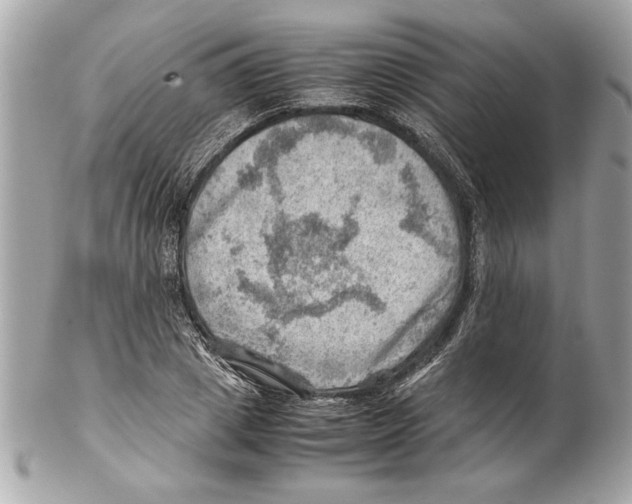 X0000102010833200808151250