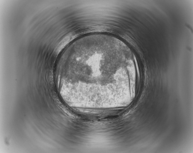 X0000102010834200808151250