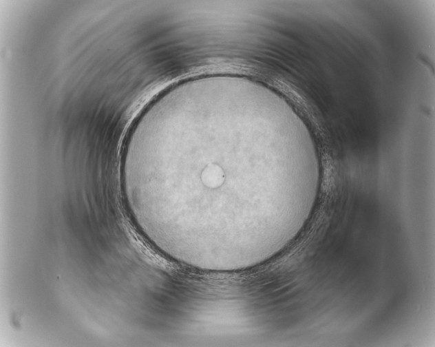 X0000102010836200808151250