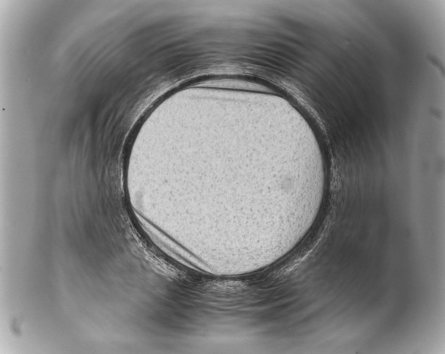 X0000102010837200808151250