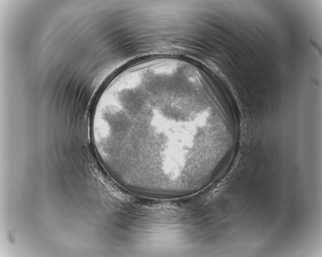 X0000102010838200808151250