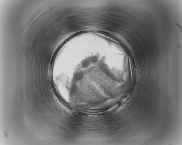 X0000102010839200808151250