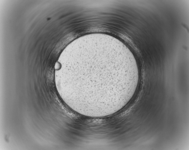 X0000102010841200808151250