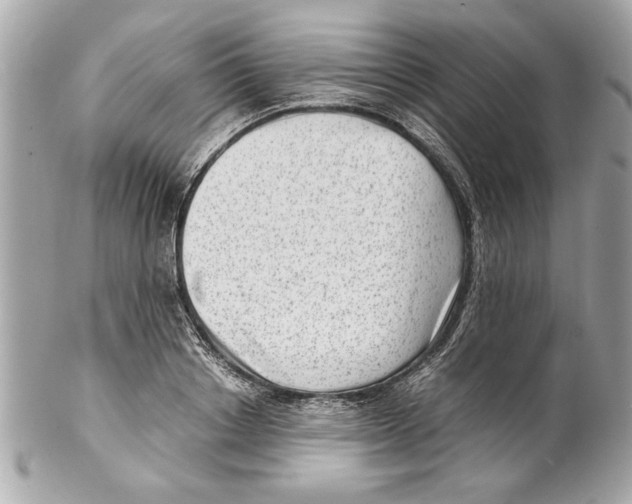 X0000102010842200808151250