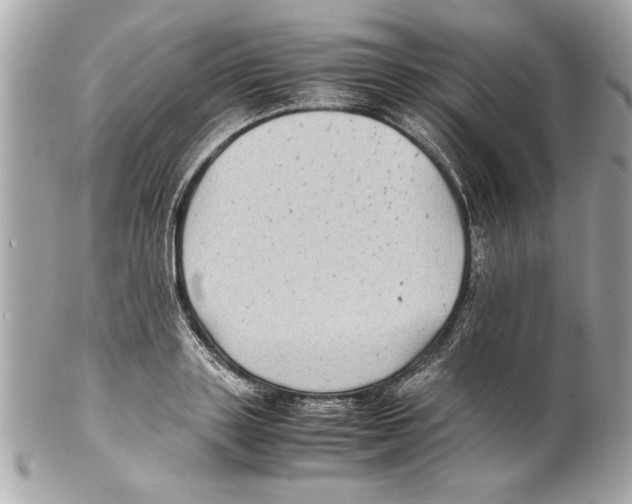 X0000102010843200808151250