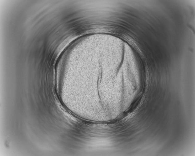 X0000102010844200808151250