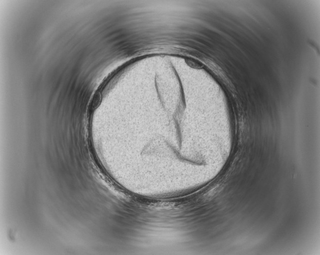 X0000102010846200808151250