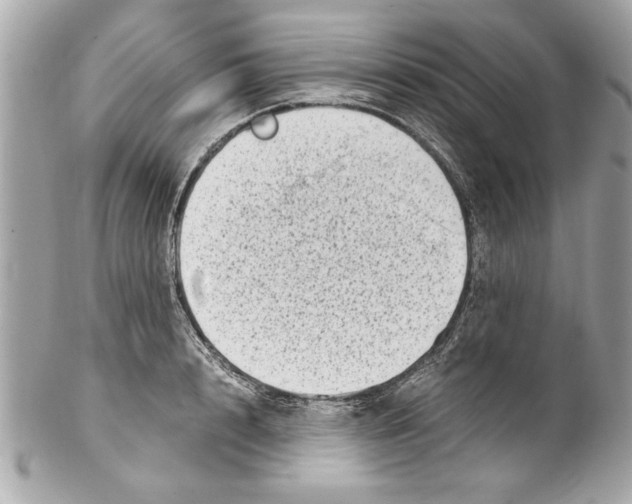 X0000102010848200808151250