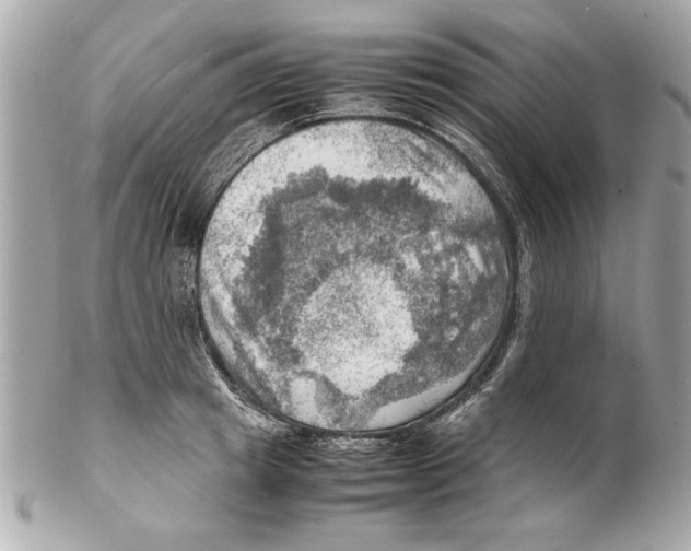 X0000102010849200808151250