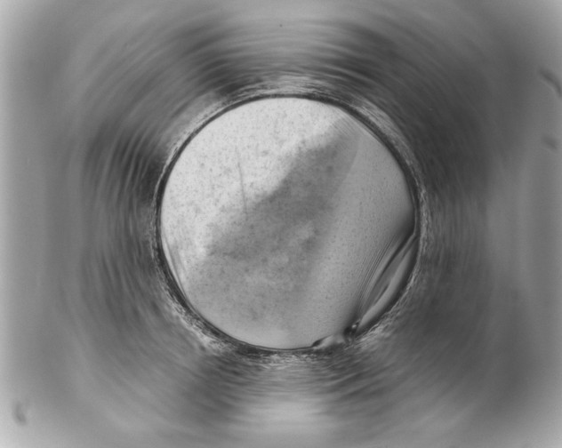 X0000102010850200808151250