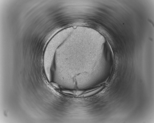 X0000102010852200808151250