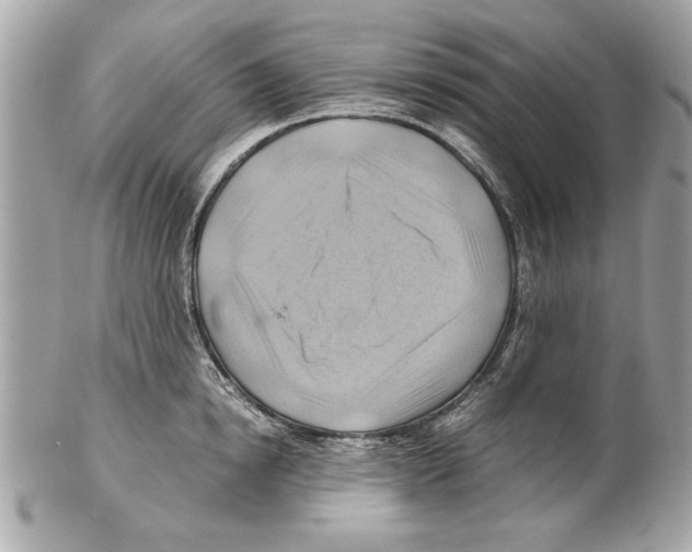 X0000102010854200808151250