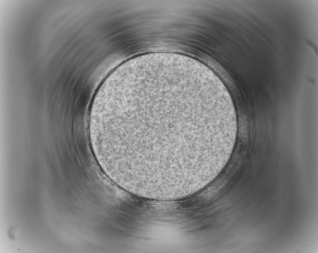 X0000102010856200808151250