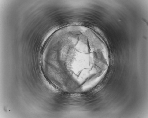 X0000102010859200808151250