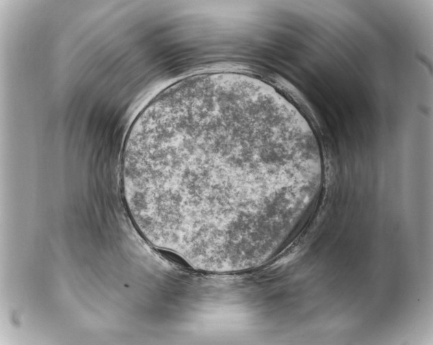 X0000102010860200808151250