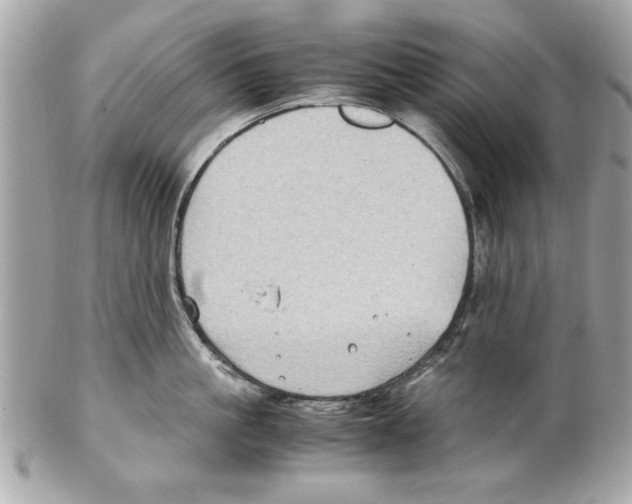 X0000102010861200808151250