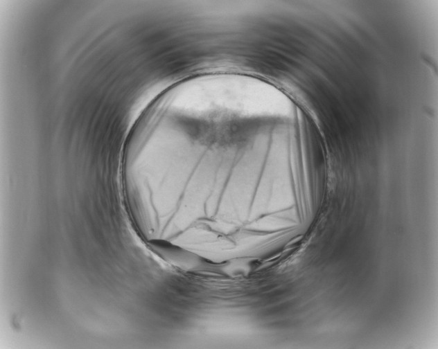 X0000102010863200808151250