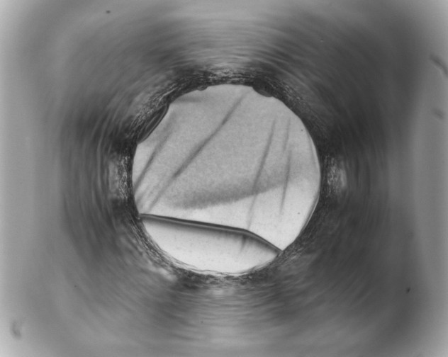 X0000102010868200808151249