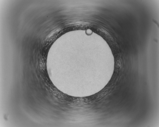 X0000102010869200808151249