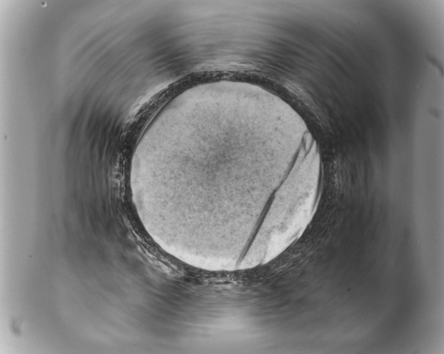 X0000102010872200808151249