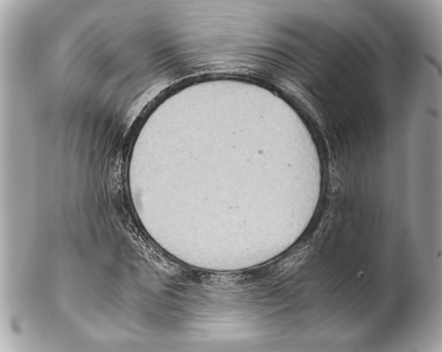 X0000102010875200808151249