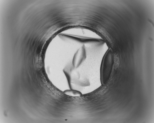 X0000102010876200808151249