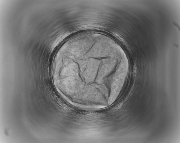 X0000102010877200808151249