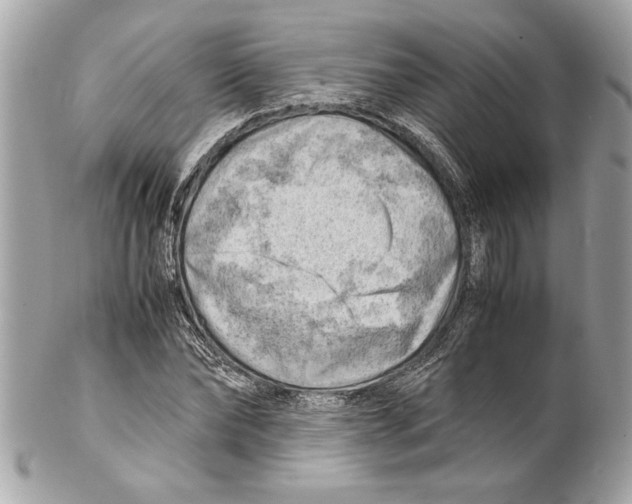 X0000102010878200808151249