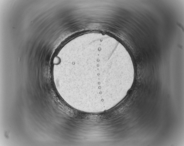 X0000102010880200808151249