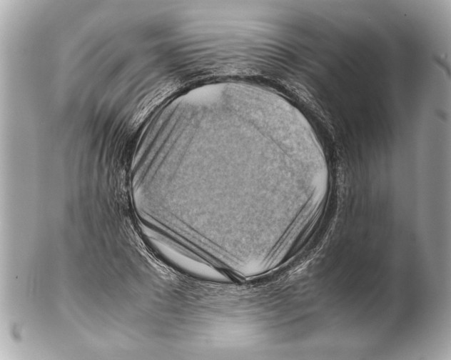 X0000102010881200808151249