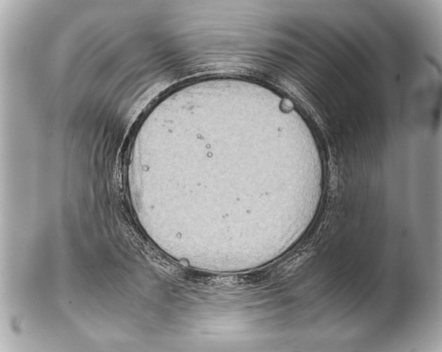 X0000102010883200808151249