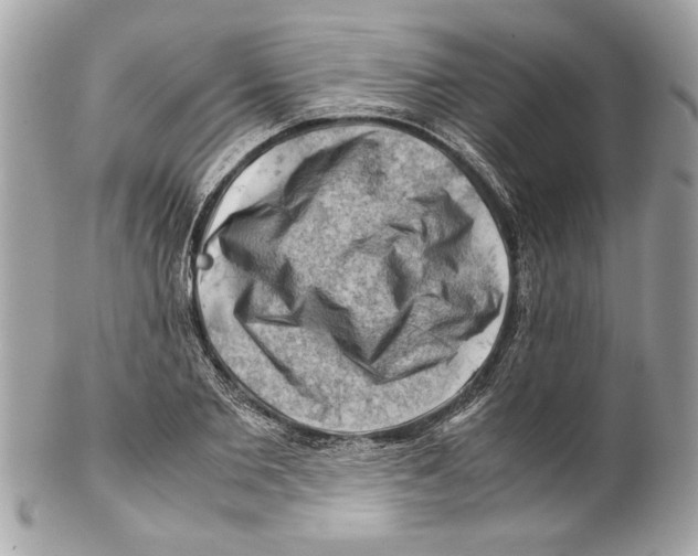 X0000102010885200808151249