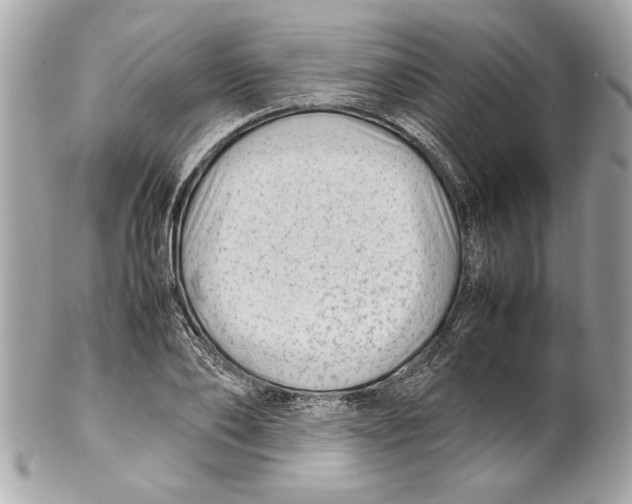 X0000102010886200808151249