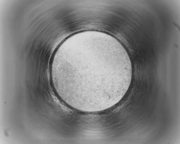 X0000102010888200808151249