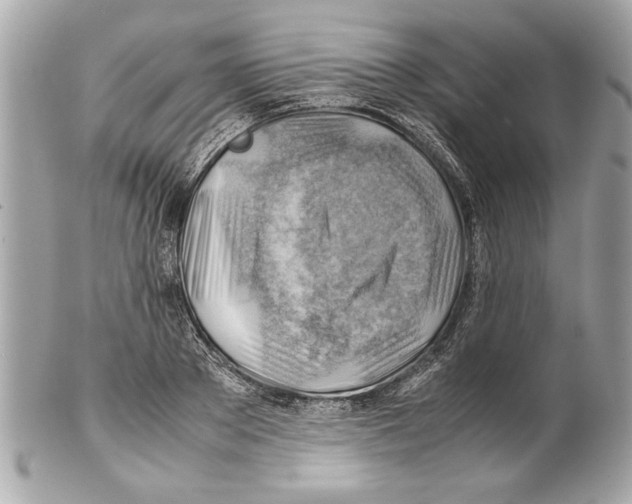 X0000102010889200808151249