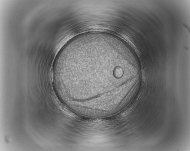 X0000102010891200808151249