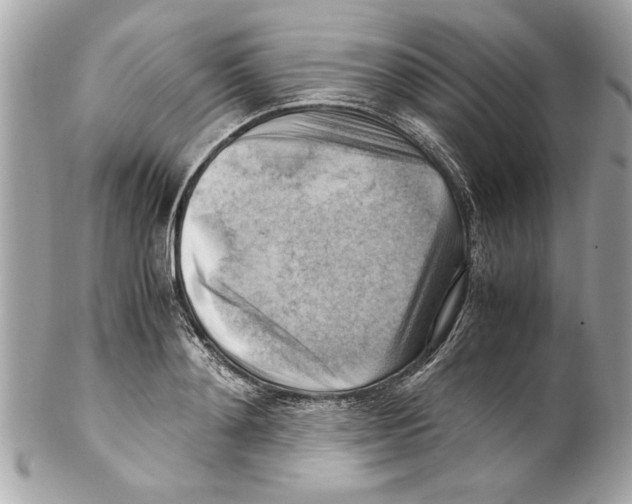 X0000102010892200808151249