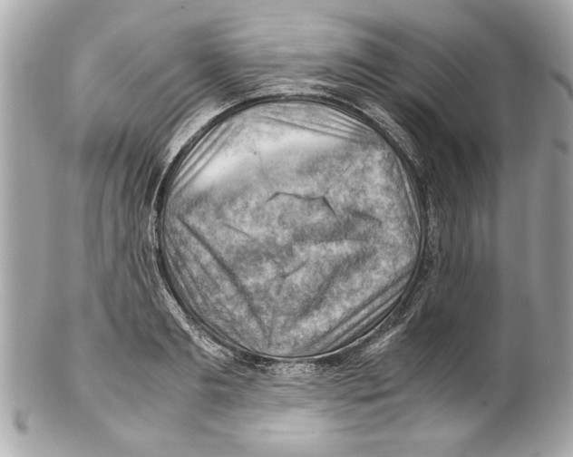 X0000102010893200808151249