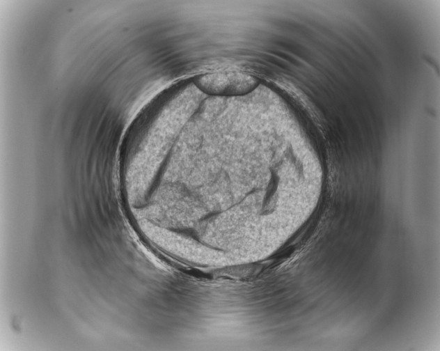 X0000102010894200808151249