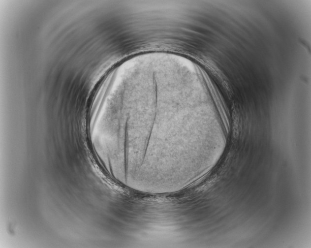 X0000102010896200808151249