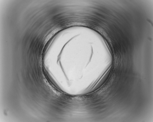 X0000102010898200808151249