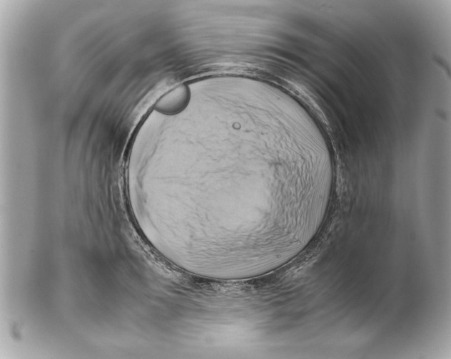 X0000102010899200808151249