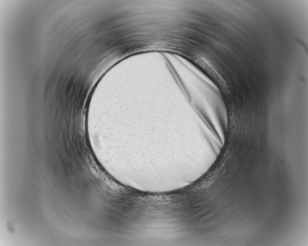 X0000102010900200808151249