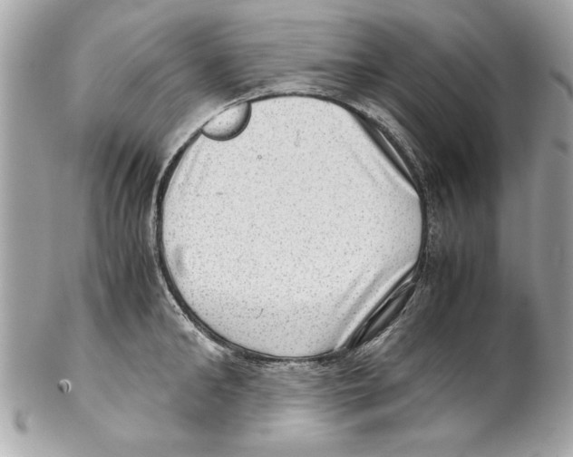 X0000102010902200808151249