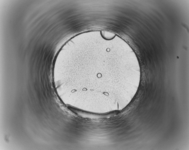 X0000102010904200808151249