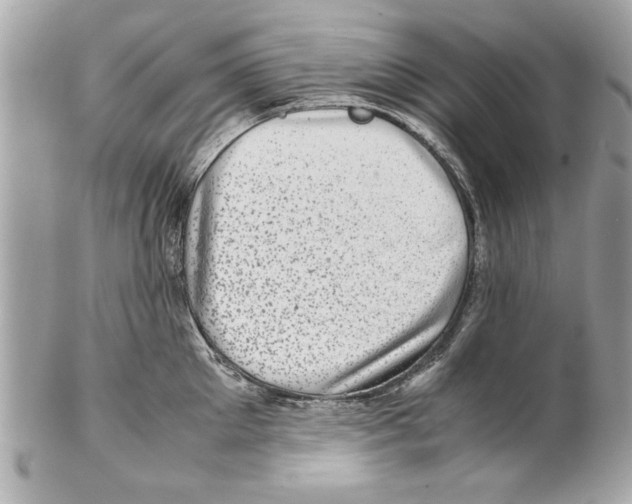 X0000102010905200808151249